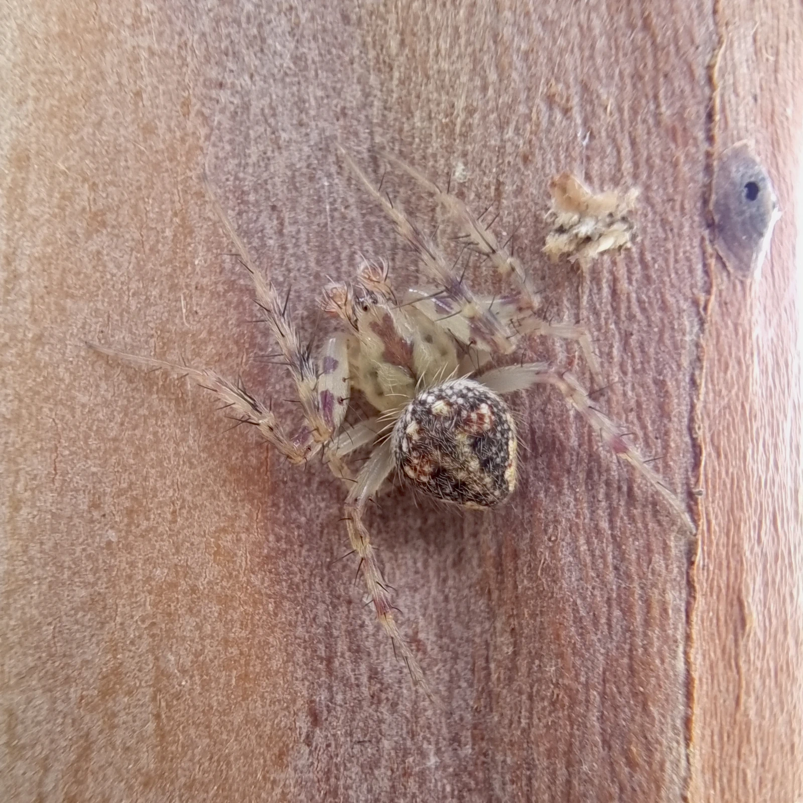 Click to open original Image description here